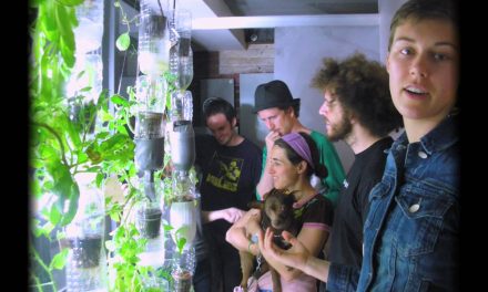 Window Farms