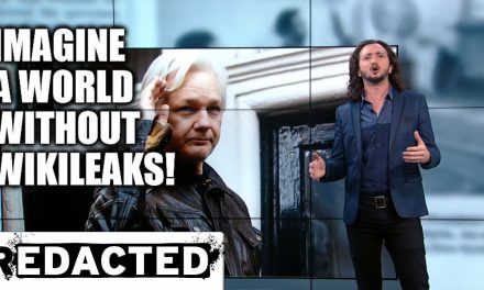The massive contributions of Julian Assange